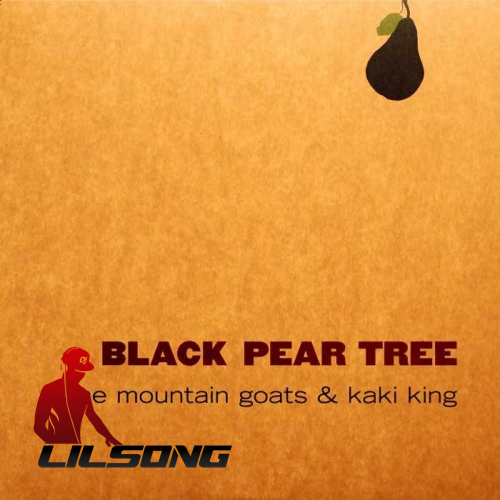 Kaki King - Black Pear Tree